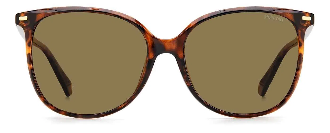 Polaroid Core PLD4125 Sunglasses - view 5